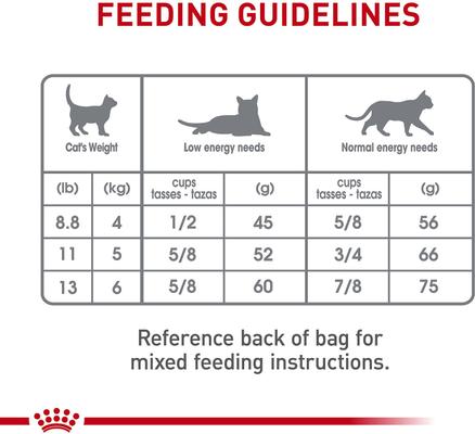 Show full view: Royal Canin Feline Care Nutrition Dental Care Dry Cat Food, 3-lb bag slide 9 of 11