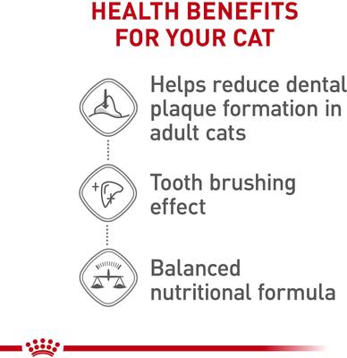 Show full view: Royal Canin Feline Care Nutrition Dental Care Dry Cat Food, 6-lb bag slide 5 of 11