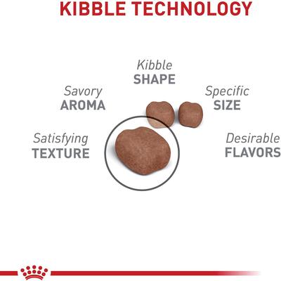 Show full view: Royal Canin Feline Care Nutrition Dental Care Dry Cat Food, 6-lb bag slide 4 of 11