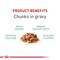 Show in main carousel: Royal Canin Feline Care Nutrition Digestive Care Adult Chunks in Gravy Pouch Cat Food, 3-oz, case of 12 slide 4 of 12