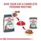 Show in main carousel: Royal Canin Feline Care Nutrition Digestive Care Adult Chunks in Gravy Pouch Cat Food, 3-oz, case of 12 slide 7 of 12