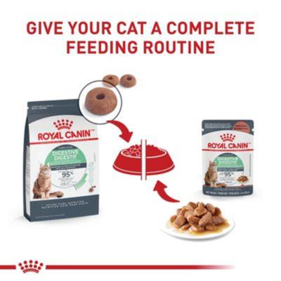 Show full view: Royal Canin Feline Care Nutrition Digestive Care Adult Chunks in Gravy Pouch Cat Food, 3-oz, case of 12 slide 7 of 12