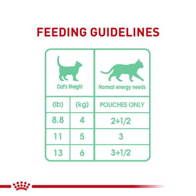 Show full view: Royal Canin Feline Care Nutrition Digestive Care Adult Chunks in Gravy Pouch Cat Food, 3-oz, case of 12 slide 9 of 12