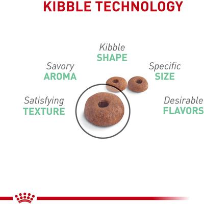 Show full view: Royal Canin Feline Care Nutrition Digestive Care Adult Dry Cat Food, 3-lb bag slide 4 of 11