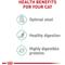 Show in main carousel: Royal Canin Feline Care Nutrition Digestive Care Adult Dry Cat Food, 6-lb bag slide 5 of 11