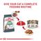 Show in main carousel: Royal Canin Feline Care Nutrition Digestive Care Adult Gravy Wet Cat Food, 3-oz can, 12 count slide 7 of 12