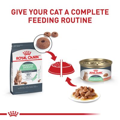 Show full view: Royal Canin Feline Care Nutrition Digestive Care Adult Gravy Wet Cat Food, 3-oz, case of 6 slide 7 of 12