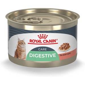 Royal Canin Feline Care Nutrition Digestive Care Adult Gravy Wet Cat Food, 5.1-oz can, case of 24