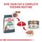 Show in main carousel: Royal Canin Feline Care Nutrition Digestive Care Loaf Pate Wet Cat Food, 3-oz, case of 24 slide 7 of 12