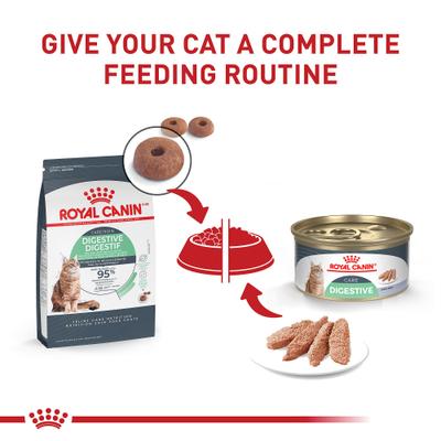 Show full view: Royal Canin Feline Care Nutrition Digestive Care Loaf Pate Wet Cat Food, 3-oz, case of 24 slide 7 of 12