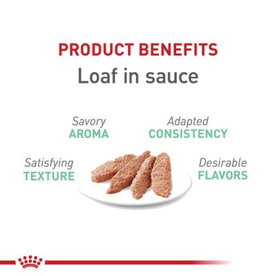 Show full view: Royal Canin Feline Care Nutrition Digestive Care Loaf Pate Wet Cat Food, 5.1-oz can, case of 24 slide 4 of 12