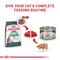 Show in main carousel: Royal Canin Feline Care Nutrition Digestive Care Loaf Pate Wet Cat Food, 5.1-oz can, case of 24 slide 7 of 12