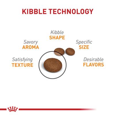 Show full view: Royal Canin Feline Care Nutrition Hair & Skin Care Dry Cat Food, 6-lb bag slide 4 of 12