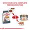 Show in main carousel: Royal Canin Feline Care Nutrition Hair & Skin Care Loaf Pate Wet Cat Food, 3-oz, case of 24 slide 7 of 12