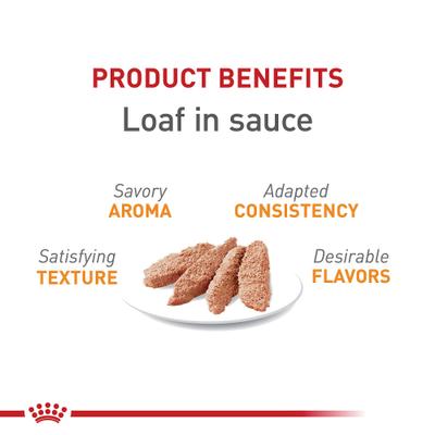 Show full view: Royal Canin Feline Care Nutrition Hair & Skin Care Loaf Pate Wet Cat Food, 5.1-oz can, case of 24 slide 4 of 12