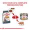Show in main carousel: Royal Canin Feline Care Nutrition Hair & Skin Care Loaf Pate Wet Cat Food, 5.1-oz can, case of 24 slide 7 of 12