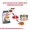 Show in main carousel: Royal Canin Feline Care Nutrition Hair & Skin Care Thin Slices in Gravy Canned Cat Food, 3-oz can, case of 12 slide 9 of 12