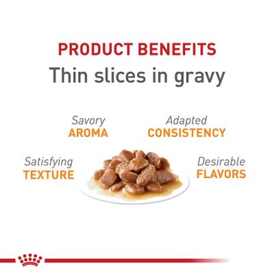 Show full view: Royal Canin Feline Care Nutrition Hair & Skin Care Thin Slices in Gravy Canned Cat Food, 3-oz, case of 24 slide 4 of 12