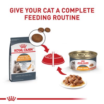 Show full view: Royal Canin Feline Care Nutrition Hair & Skin Care Thin Slices in Gravy Canned Cat Food, 3-oz, case of 24 slide 7 of 12