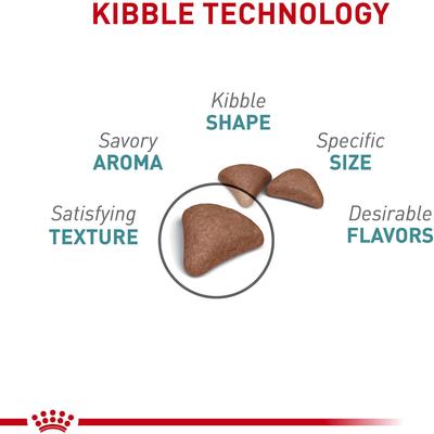 Show full view: Royal Canin Feline Care Nutrition Hairball Care Adult Dry Cat Food, 3-lb bag slide 4 of 11