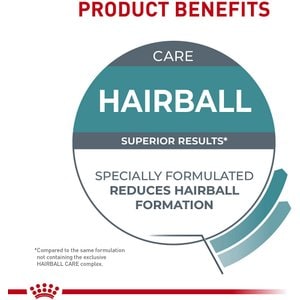 Royal Canin Feline Care Nutrition Hairball Care Adult Dry Cat Food, 3-lb bag