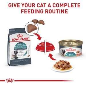 Royal Canin Feline Care Nutrition Hairball Care Adult Dry Cat Food, 3-lb bag