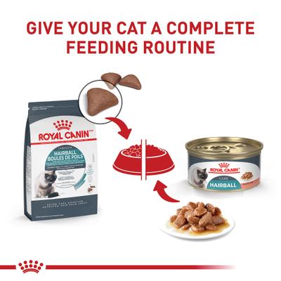 Show full view: Royal Canin Feline Care Nutrition Hairball Care Thin Slices in Gravy Canned Cat Food, 3-oz, case of 24 slide 6 of 12