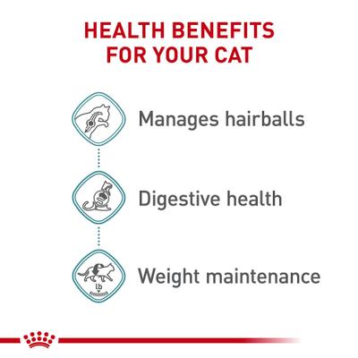 Show full view: Royal Canin Feline Care Nutrition Hairball Care Thin Slices in Gravy Canned Cat Food, 3-oz, case of 6 slide 5 of 12