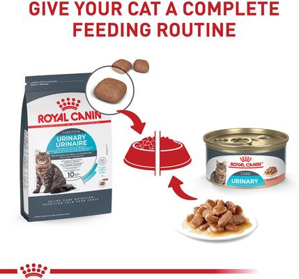 Show full view: Royal Canin Feline Care Nutrition Urinary Care Adult Dry Cat Food, 3-lb bag slide 6 of 12