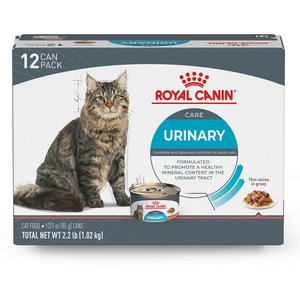 Royal Canin Feline Care Nutrition Urinary Care Thin Slices in Gravy Wet Cat Food, 3-oz can, 12 count