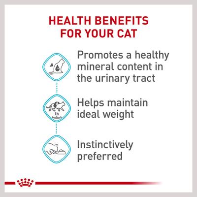 Show full view: Royal Canin Feline Care Nutrition Urinary Care Thin Slices in Gravy Wet Cat Food, 3-oz can, 12 count slide 5 of 12