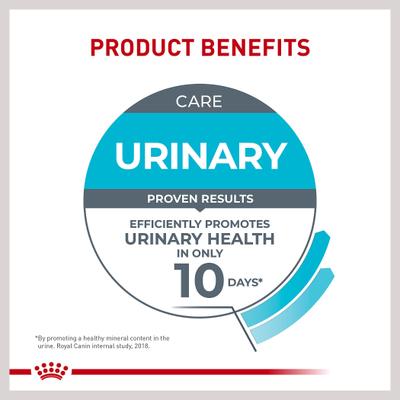 Show full view: Royal Canin Feline Care Nutrition Urinary Care Thin Slices in Gravy Wet Cat Food, 3-oz can, 12 count slide 6 of 12