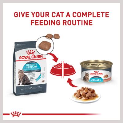Show full view: Royal Canin Feline Care Nutrition Urinary Care Thin Slices in Gravy Wet Cat Food, 3-oz can, 12 count slide 7 of 12