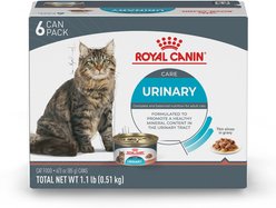 Royal Canin Feline Care Nutrition Urinary Care Thin Slices in Gravy Wet Cat Food, 3-oz can, case of 6