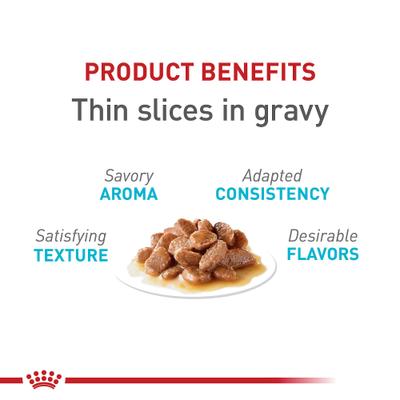 Show full view: Royal Canin Feline Care Nutrition Urinary Care Thin Slices in Gravy Wet Cat Food, 3-oz can, case of 6 slide 4 of 11