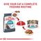 Show in main carousel: Royal Canin Feline Care Nutrition Urinary Care Thin Slices in Gravy Wet Cat Food, 3-oz can, case of 6 slide 6 of 11