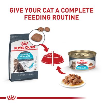 Show full view: Royal Canin Feline Care Nutrition Urinary Care Thin Slices in Gravy Wet Cat Food, 3-oz can, case of 6 slide 6 of 11