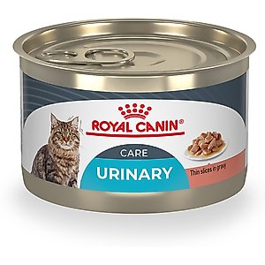 Royal Canin Feline Care Nutrition Urinary Care Thin Slices in Gravy Wet Cat Food