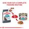 Show in main carousel: Royal Canin Feline Care Nutrition Urinary Care Thin Slices in Gravy Wet Cat Food, 5.1-oz can, case of 24 slide 6 of 11
