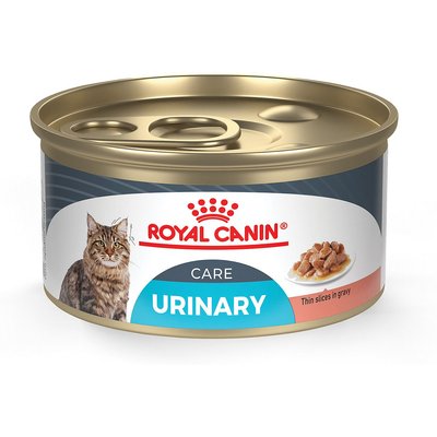 Royal Canin Royal Canin Feline Care Nutrition Urinary Care Thin Slices in Gravy Wet Cat Food, 3-oz can, case of 24