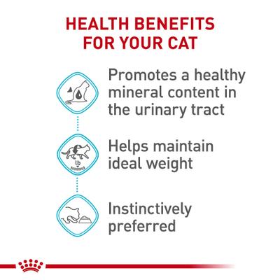 Show full view: Royal Canin Feline Care Nutrition Urinary Care Thin Slices in Gravy Wet Cat Food, 3-oz can, case of 24 slide 5 of 11