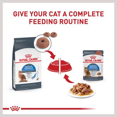 Show full view: Royal Canin Feline Care Nutrition Weight Care Adult Chunks in Gravy Pouch Cat Food, 3-oz, case of 12 slide 7 of 11
