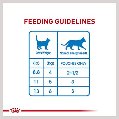 Show full view: Royal Canin Feline Care Nutrition Weight Care Adult Chunks in Gravy Pouch Cat Food, 3-oz, case of 12 slide 9 of 11