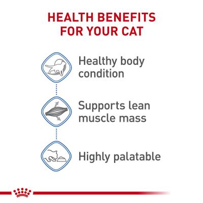 Show full view: Royal Canin Feline Care Nutrition Weight Care Adult Thin Slices in Gravy Wet Cat Food, 3-oz can, 12 count slide 5 of 12