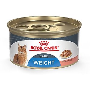 ROYAL CANIN Aging 12+ Thin Slices in Gravy Wet Cat Food, 3