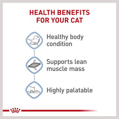 Show full view: Royal Canin Feline Care Nutrition Weight Care Adult Thin Slices in Gravy Wet Cat Food, 3-oz can, case of 24 slide 5 of 12