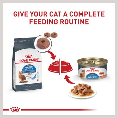 Show full view: Royal Canin Feline Care Nutrition Weight Care Adult Thin Slices in Gravy Wet Cat Food, 3-oz can, case of 24 slide 7 of 12
