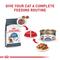 Show in main carousel: Royal Canin Feline Care Nutrition Weight Care Adult Thin Slices in Gravy Wet Cat Food, 3-oz, case of 6 slide 7 of 12