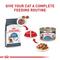 Show in main carousel: Royal Canin Feline Care Nutrition Weight Care Adult Thin Slices in Gravy Wet Cat Food, 5.1-oz can, case of 24 slide 7 of 12