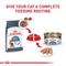 Show in main carousel: Royal Canin Feline Care Nutrition Weight Care Loaf Pate Wet Cat Food, 3-oz, case of 24 slide 7 of 12